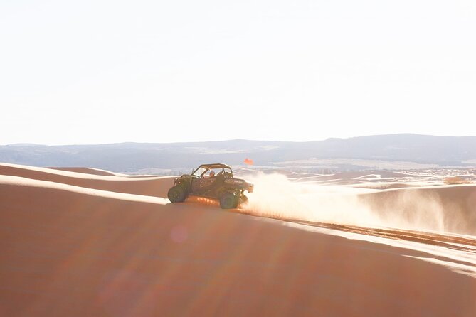 UTV Dune Cruise and Surf at Coral Pink Sand Dunes - Key points to know before you book