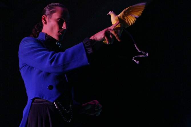 V - The Ultimate Variety Show at Planet Hollywood Resort and Casino - Who will enjoy V most?