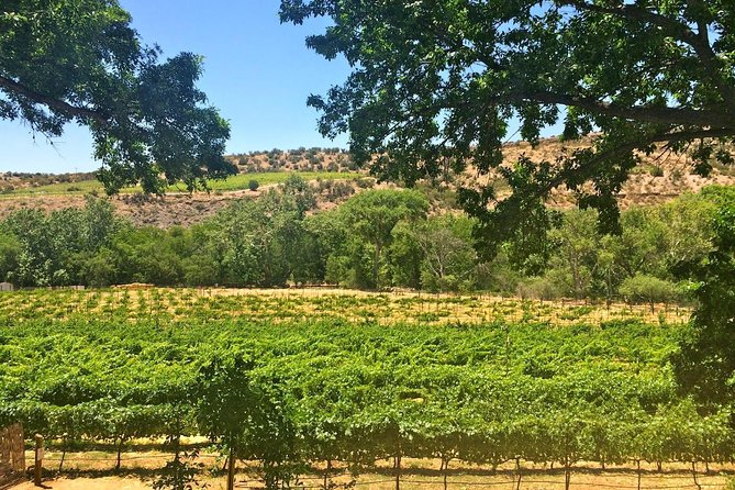 Visit 4 Wineries in Limo Party Bus-Includes Charcuterie Lunch! - Pickup from Sedona and the ride south
