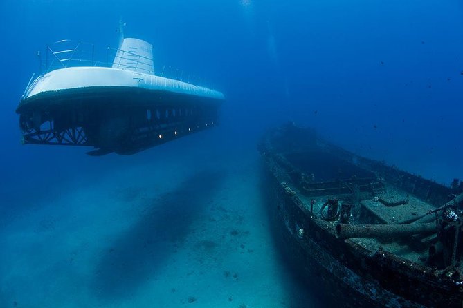Waikiki: Atlantis Submarine Adventure - Who should book this Waikiki submarine tour?