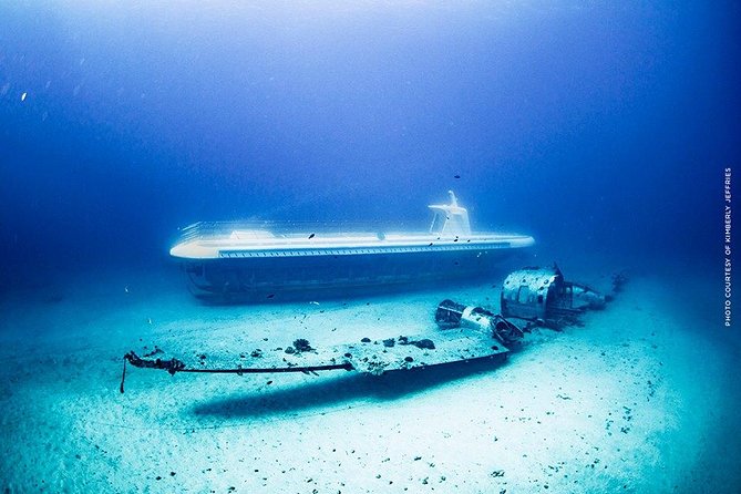 Waikiki: Atlantis Submarine Adventure - Morning or afternoon: choosing your time