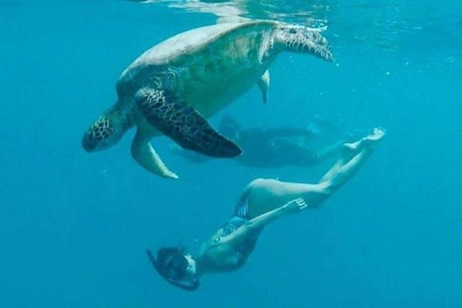 Waikiki Beach: Turtle Snorkeling and Sailing on Hāwea - The sail back toward Diamond Head