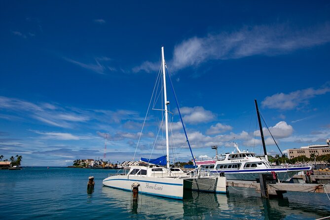 Waikiki Catamaran Snorkel Sail with Lunch: Turtles Guaranteed - What $134.95 buys you