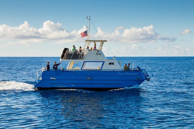 Waikiki Deluxe Catamaran Whale Watch - Who will enjoy this cruise most?