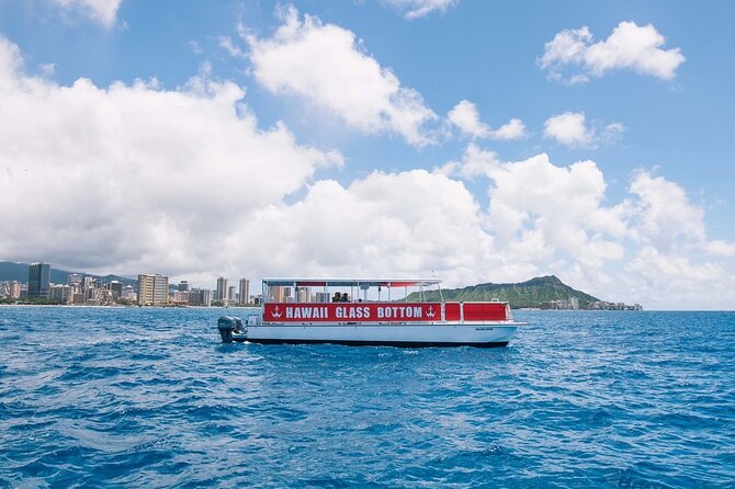 Waikiki Glass Bottom Boat Cruise - Sea Turtles, Reef Fish, Dolphins, and Seasonal Whales