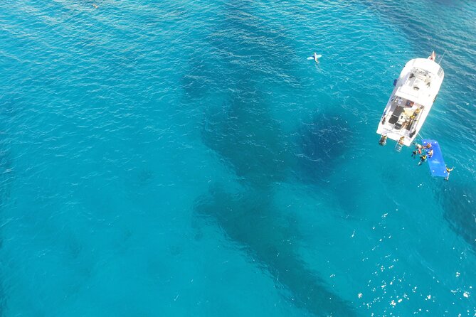 Waikiki, Hawaii: Turtle Canyon Snorkel Excursion - Reef fish and other ocean sightings