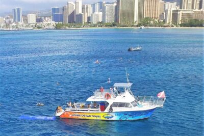 Waikiki, Hawaii: Turtle Canyon Snorkel Excursion