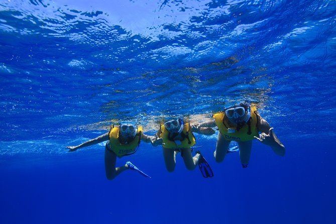 Waikiki, Hawaii: Turtle Canyon Snorkel Excursion - Water clarity, waves, and sea sickness