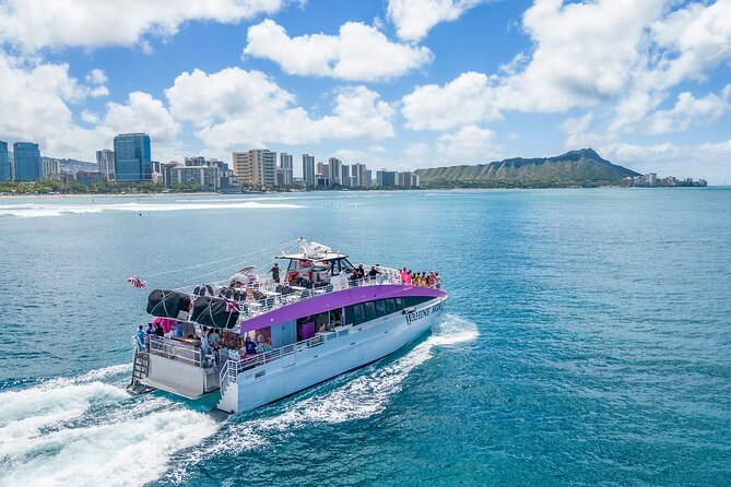 Waikiki, Oahu 2-Hour Whale Watching: Guaranteed Sightings - Why Waikiki is a good base for whale watching