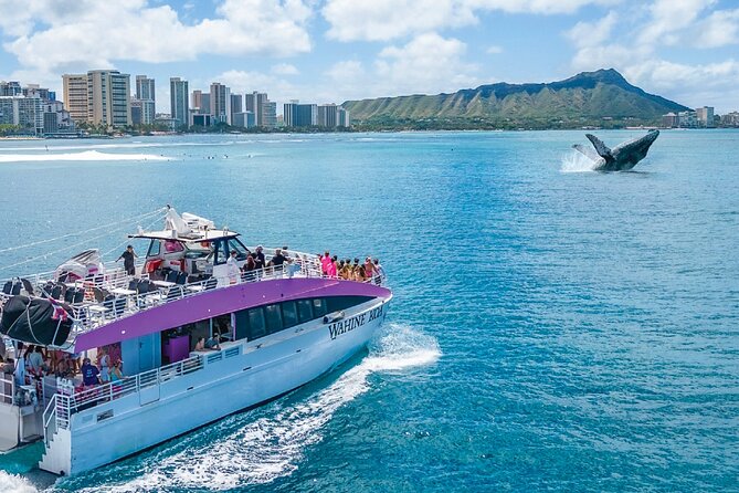 Waikiki, Oahu 2-Hour Whale Watching: Guaranteed Sightings - What the reviews reveal about actual conditions