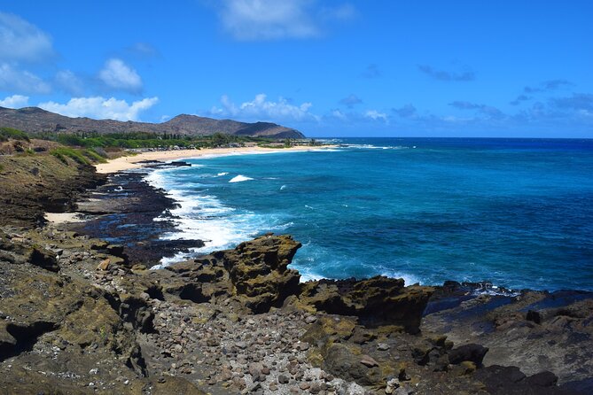 Waikiki Trolley Blue Line Coastline & Local Grindz Hop-on Hop-off - Sea Life Park and Makapuʻu Beach: the longest optional stop