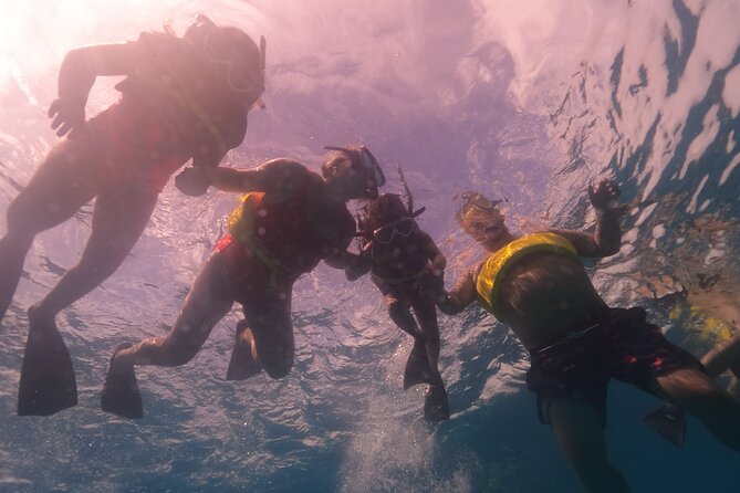 Waikiki: Turtle Canyon Snorkel - What is included, and what to bring