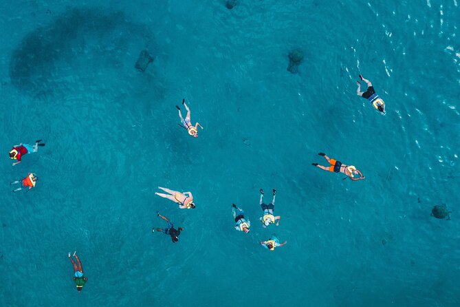Waikiki: Turtle Canyon Snorkel - Who should book this outing?