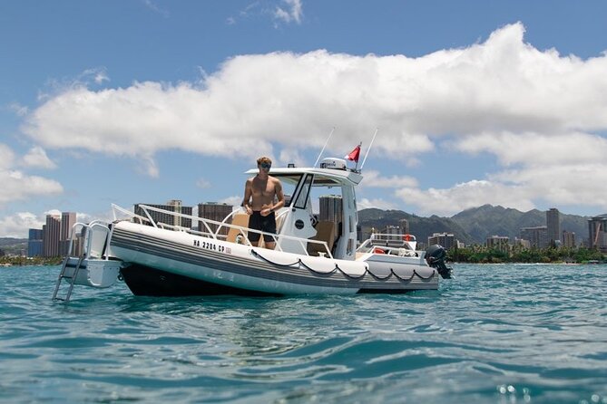 Waikiki Turtle Canyon Snorkel: Turtles Guaranteed - How to Make the Morning Go Better