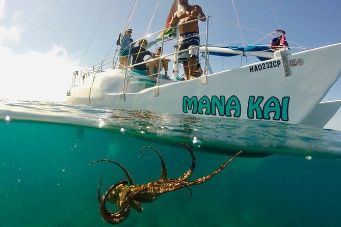 Waikiki Turtle Snorkel and Sail on Hawea Catamaran - Starting beside the Duke Kahanamoku statue