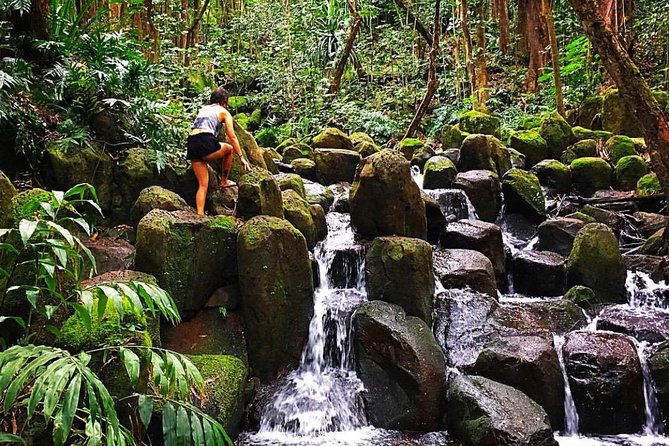Wailua River & Waterfalls Kayak Tour: Expert-Guided Adventure - The return trip is part of the price