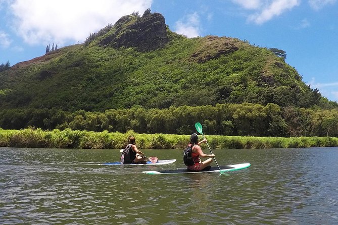 Wailua River & Waterfalls Kayak Tour: Expert-Guided Adventure - The guides are a major strength