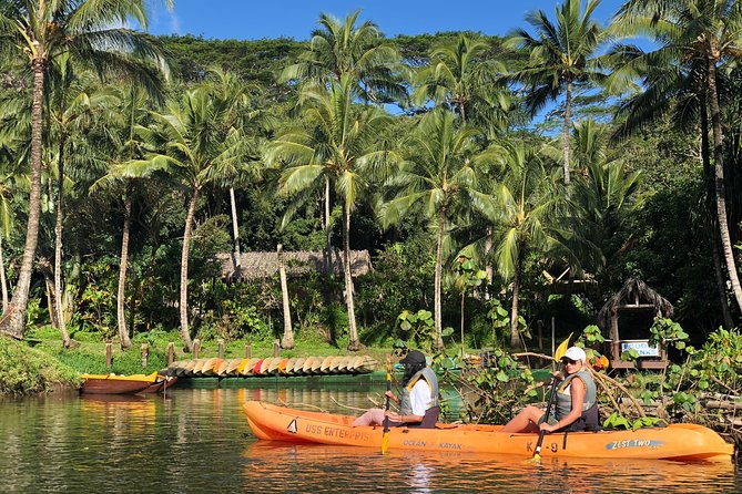 Wailua River & Waterfalls Kayak Tour: Expert-Guided Adventure - What the $145.86 price gets you