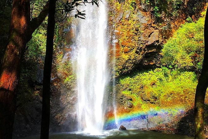 Wailua River & Waterfalls Kayak Tour: Expert-Guided Adventure - Who should book this Kauai kayak tour?