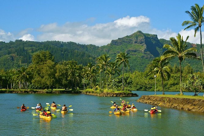Wailua River & Waterfalls Kayak Tour: Expert-Guided Adventure - My practical packing advice