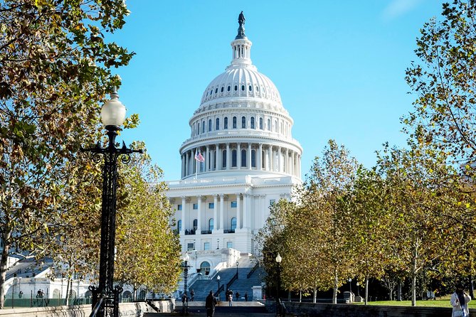Washington DC Highlights Tour with Top Landmarks and Memorials - The Tidal Basin and Martin Luther King, Jr. Memorial