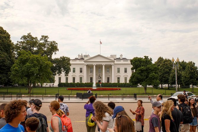 Washington DC Highlights Tour with Top Landmarks and Memorials - Guides, Drivers, and the Onboard Experience