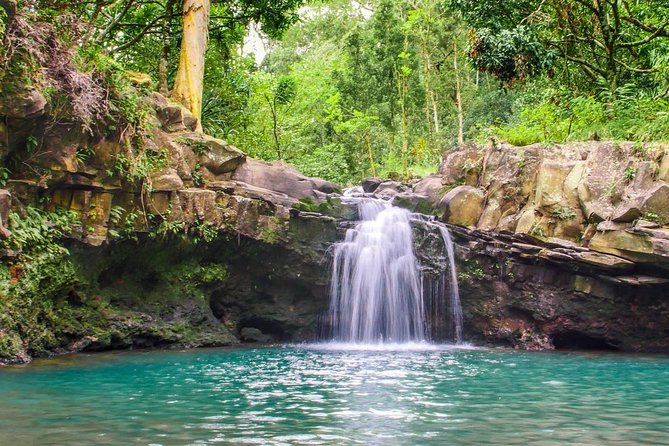 Waterfall & Rainforest Hiking Adventure with Hotel Pickup - Lunch beside the pool