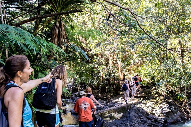 Waterfall & Rainforest Hiking Adventure with Hotel Pickup - How the small group changes the experience