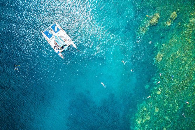 West Maui Half Day Snorkel from Ka’anapali Beach - Key points to know before booking