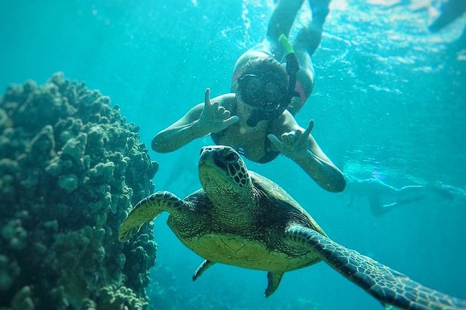 West Maui Half Day Snorkel from Ka’anapali Beach - Turtles, Tropical Fish, and the Rules That Matter
