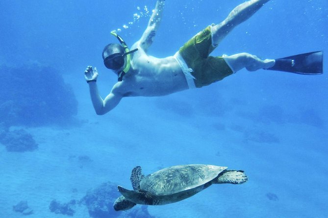 West Maui Half Day Snorkel from Ka’anapali Beach - Breakfast With Maui’s Mountains Passing By