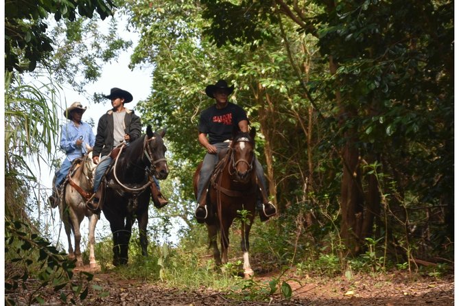 West Maui Mountain Waterfall and Ocean Tour via Horseback - From Wailuku to the ranch at 8:15 a.m.