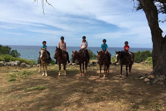West Maui Mountain Waterfall and Ocean Tour via Horseback - The photo stops and animal area