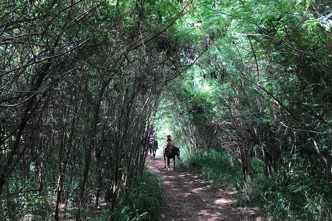 West Maui Mountain Waterfall and Ocean Tour via Horseback - What to wear for dust, mud, and saddle comfort