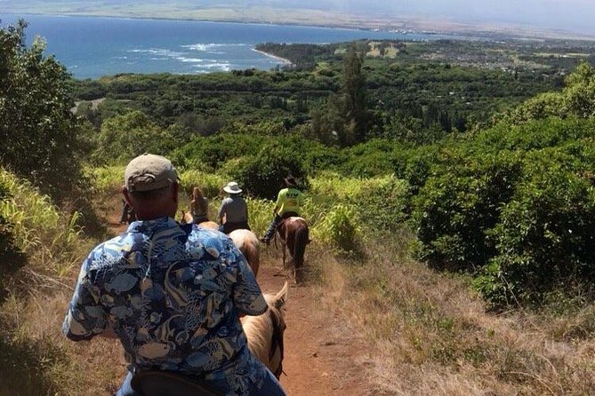 West Maui Mountain Waterfall and Ocean Tour via Horseback - Choosing the right horse for your ability