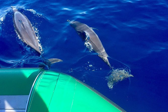 West Maui Snorkeling Experience by Boat from Ka'anapali - At a glance: what makes this trip worth considering