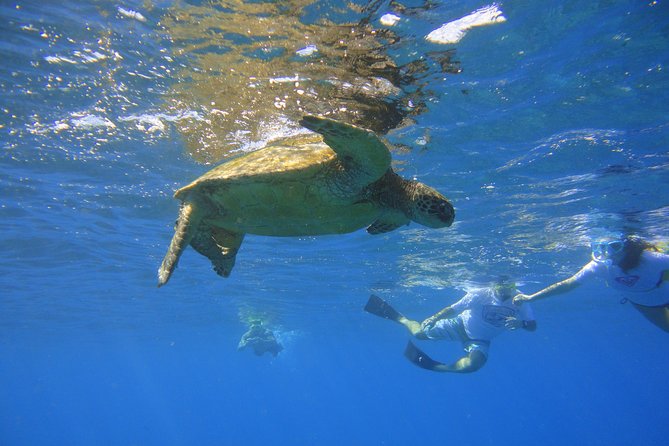 West Maui Snorkeling Experience by Boat from Ka'anapali - The second snorkel stop and the value of a flexible route