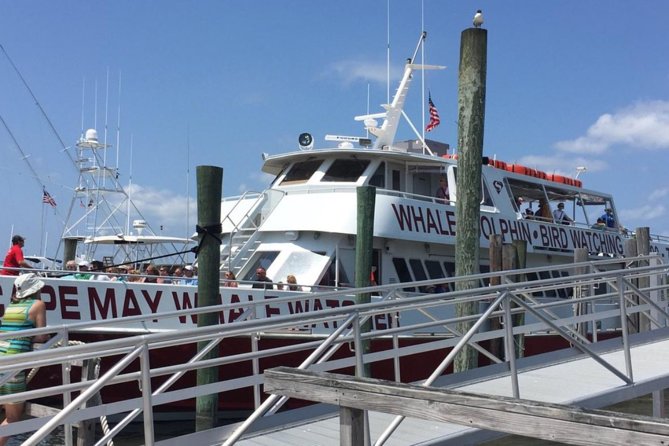 Whale and Dolphin Watching Cruise from Cape May - Finding a comfortable place on the boat