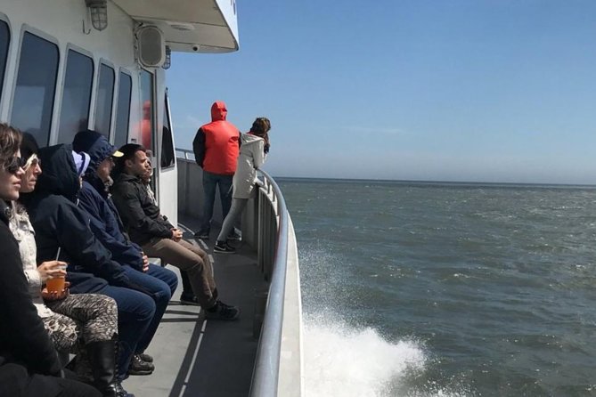 Whale and Dolphin Watching Cruise from Cape May - Parking, timing, and small practical concerns