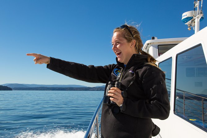 Whale Watching from Friday Harbor - The four-hour cruise aboard the MV Sea Lion