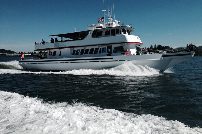 Whale Watching from Friday Harbor - The crew and onboard teaching