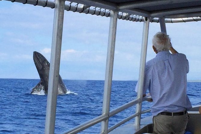 Whale Watching On The Big Island - Hearing whales through the hydrophones