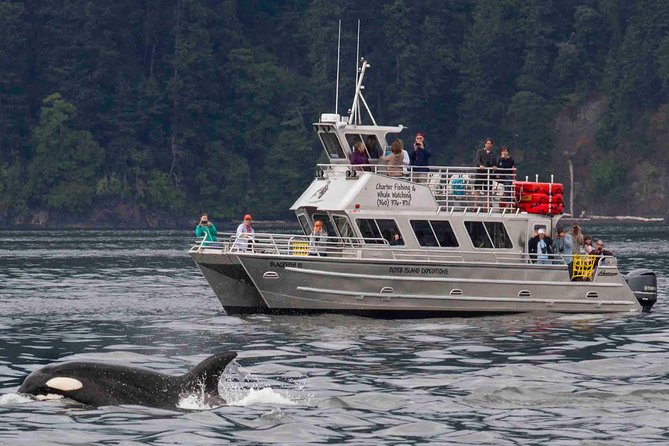 Whale Watching Tour from Anacortes - What the Blackfish boat changes