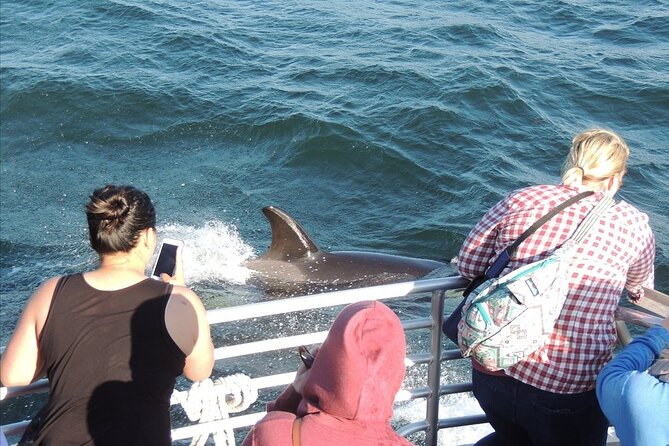 Whale Watching Tour from Anacortes - Who will enjoy this Anacortes whale tour