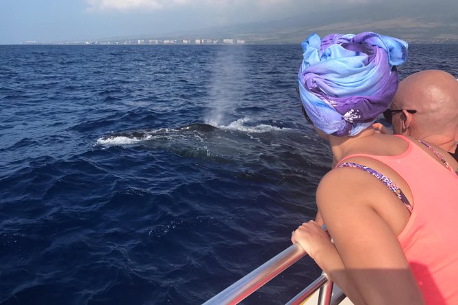 WHALES GUARANTEED Maui Whale Watching Makai Adventures - Quick points about this Maui whale watch