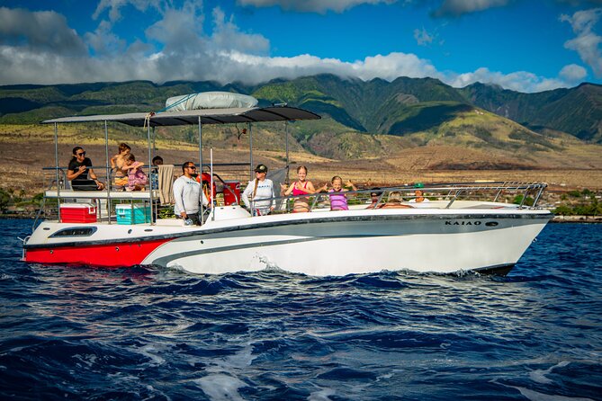 WHALES GUARANTEED Maui Whale Watching Makai Adventures - Why the crew matters so much
