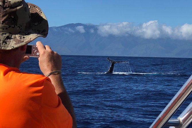 WHALES GUARANTEED Maui Whale Watching Makai Adventures - Who should book this excursion?