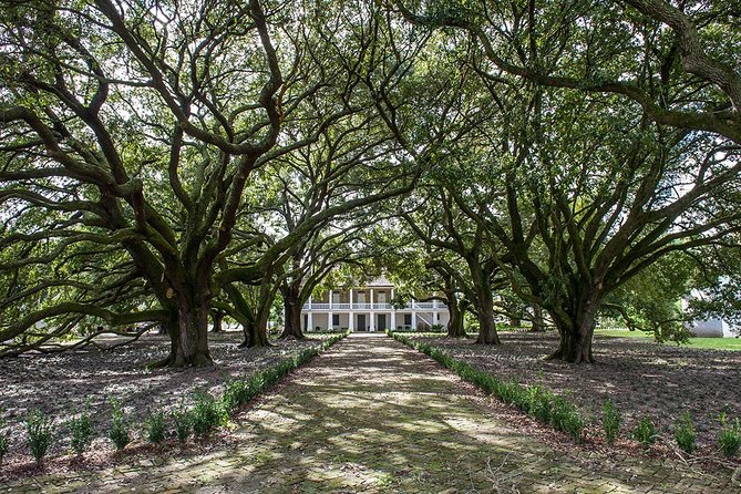 Whitney Plantation Tour with Transportation from New Orleans - Food, comfort, and the practical details