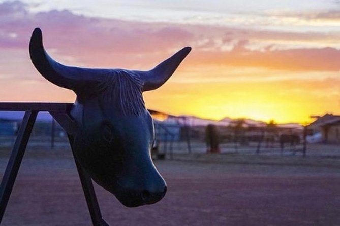 Wild West Sunset Horseback Ride with Dinner from Las Vegas - The practical drawbacks to weigh