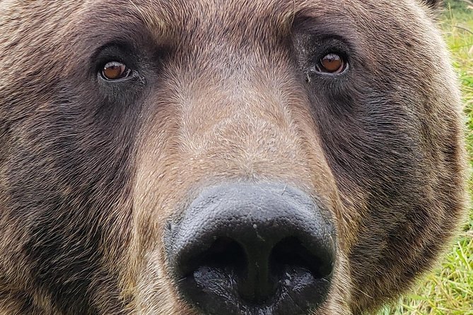 Wilderness, Wildlife, Glacier Experience from Anchorage - History gives the scenery more meaning